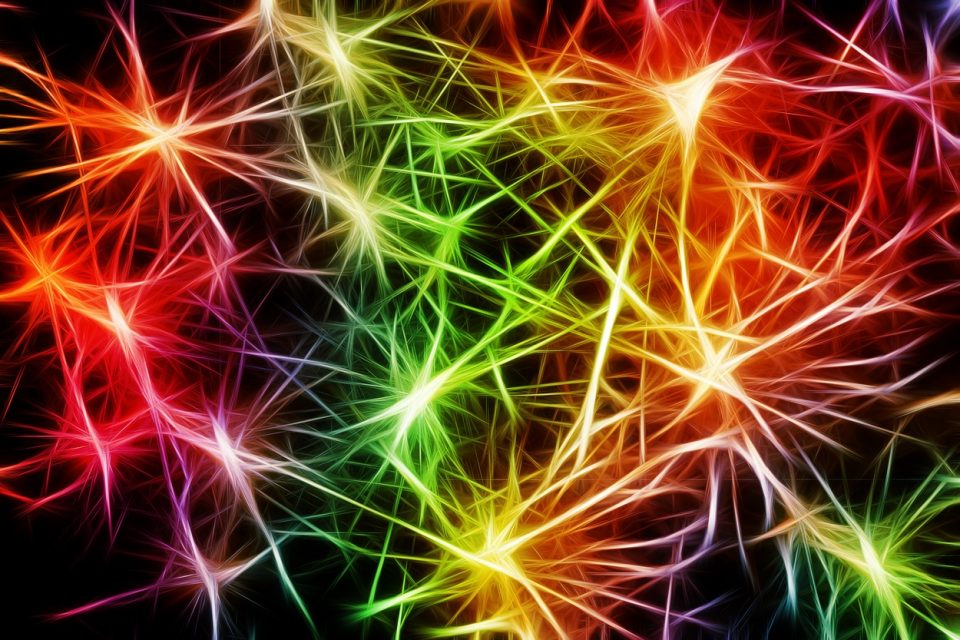 Lan Sabai Gratitude Article Neurons Brain Activity
